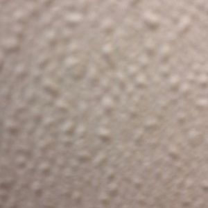 Meet your Posher, Jose